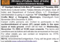 Auction Notice for Carpet Stalls in the open space during 14th Chandigarh National Crafts Mela